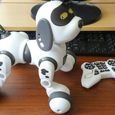 Intelligent Remote Control Robot Dog - Imagen 6